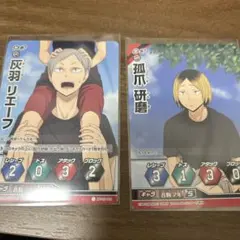 ハイキュー!! バボカ 孤爪研磨 灰羽リエーフ