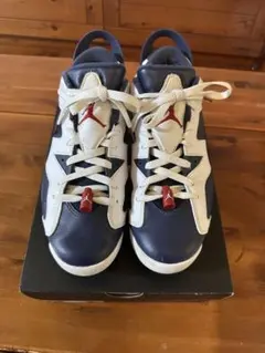 ジョーダンレトロ6G NIKE ゴルフシューズ26㎝