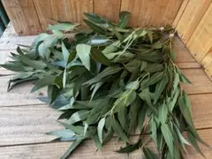 popomama☺︎様 リクエスト 2点 まとめ商品