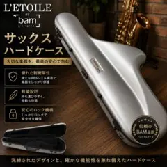 緊急)BAM バイオリンケース PANT2002XLG パンサー グレー - メルカリ