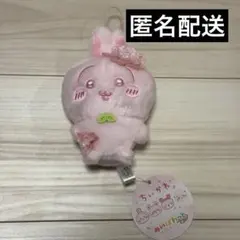 ちいかわ ぬいぱれっと さくらいろ マスコット うさぎ 1