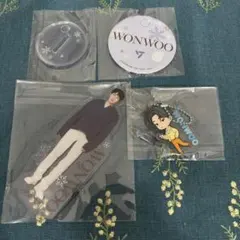 SEVENTEEN ウォヌ WONWOO アクスタ　マグネットラバーキーホルダー