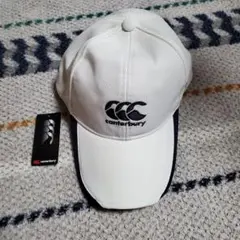 Item thumbnail for item 3981c229-5603-420e-9e70-0a565448c165