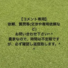【コメント、問い合わせ、依頼等専用】　お待ちしてます。