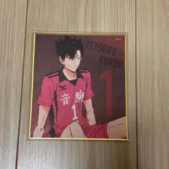 ハイキュー ゴミ捨て場の決戦展 黒尾鉄朗 トレーディングミニ色紙