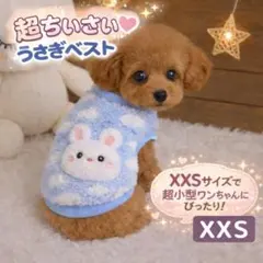 Item thumbnail for item 439f08df-68a2-4982-9f22-67975bb5099a