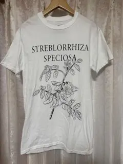 Item thumbnail for item 60dcf25a-e798-495b-b5ea-4dd2b60f78b2