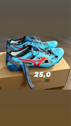 MIZUNO クロノインクス9 25.0cmのサムネイル