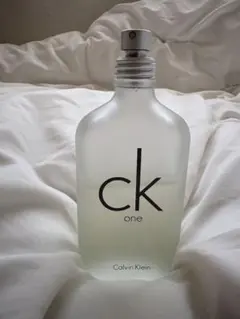 Calvin Klein CK One 100ml 香水