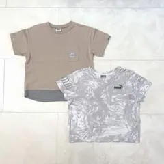 ブリーズ プーマ 半袖Ｔシャツ キッズ 男の子 120 ２点セット