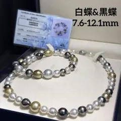 万彩万華✨ 希少 マルチパール 8.4-12mm 白蝶パール 黒蝶パール 鑑別書 万彩万華✨ 希少 マルチパール 8.4-12mm 白蝶パール 黒蝶パール 鑑別書