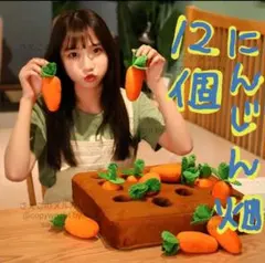 【12個人参畑】世界一可愛いと話題犬のおもちゃ/運動不足解消/ノーズワーク/10