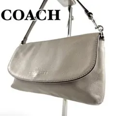 COACH コーチ アクセサリーバッグ グレージュ レザー A11-05