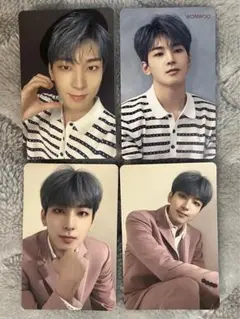 2026年最新】ウォヌ 舞い落ちる花びらの人気アイテム - メルカリ