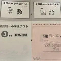 2024年11月　小3全国統一小学生テスト