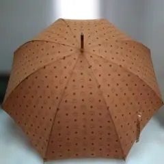 Item thumbnail for item 8e715284-37b2-488c-b480-9c07d2fae0cb