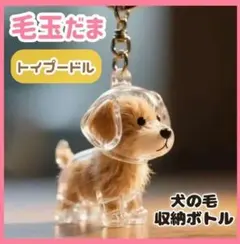 Item thumbnail for item 7f7c4e1b-b40e-424d-97ff-25ade2741a67