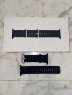 Apple Watch ブルーオーシャン バンド ナチュラルチタニウム 純正