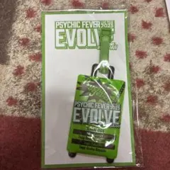 PSYCHIC FEVER キーホルダー ブランケット セット