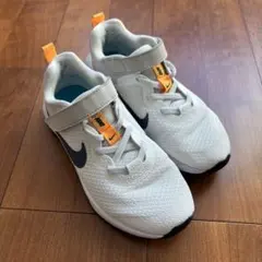 Item thumbnail for item 7b5e41d7-8fdb-4109-895a-d4fce10e7168