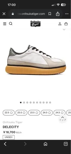 Onitsuka Tiger/オニツカタイガー DELECITY