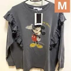 Item thumbnail for item 0d73fc8d-c0a0-4151-b664-1af86b33513b