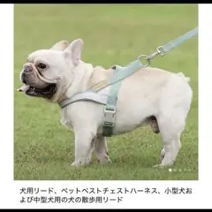 Item thumbnail for item ad0d57d5-024a-4fad-b6ad-8d8d7c40f461