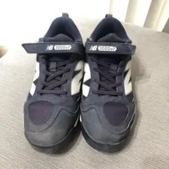 Item thumbnail for item 1bbc3267-d2c2-4250-8963-f0ebb6822a3b