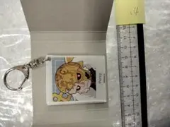 第五人格　IdentityVトレーディングアクリルキーホルダーペルシーアンデッド