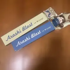 最終価格。嵐　BLAST Miyagi ペンライト⭐︎最終価格