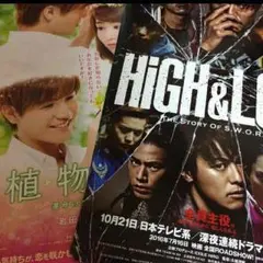 HiGH&LOWと植物図鑑 映画 フライヤー