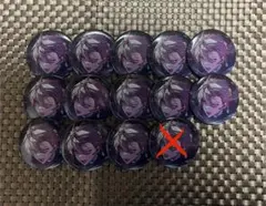 シクフォニ缶バッジ 13個セット