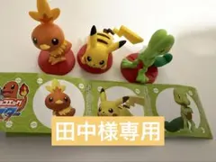 【田中様専用】