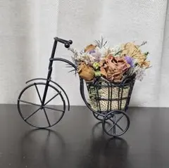 Item thumbnail for item b1163a8a-150b-4dea-9fb0-50e1506e4b67