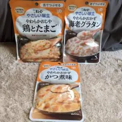 RIN様専用　やさしい献立 鶏とたまご 介護食 150g　海老グラタン　かつ煮味