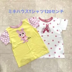 可愛いミキハウス Hot Biscuits Tシャツ 120センチ2枚セット