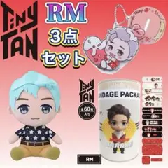 新品未使用品 BTS TinyTan 【RM】3点セット ぬいぐるみ 絆創膏 等