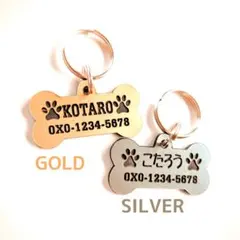 Item thumbnail for item 4eac7813-a9f4-42f8-994a-121144ccf256