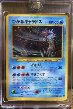 2025年最新】ひかるギャラドスの人気アイテム - メルカリ