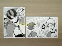 【新品】ハイキュー!! 10thクロニクル フォトカード 白鳥沢学園