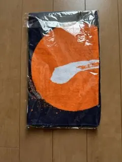 Item thumbnail for item cd68b155-3a2a-46fa-be32-c39e9049ee70