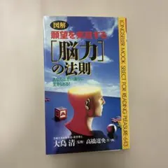 図解 願望を実現する「脳力」の法則　大島清