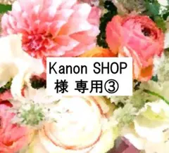 Kanon SHOP 様専用③ 2024年 DWE 最新版 フルセット 新同多