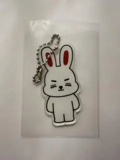 SEVENTEEN miniteen エスクプス　アクリルキーホルダー