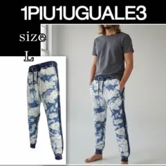 ウノピュウノウグァーレトレ 1piu1uguale3