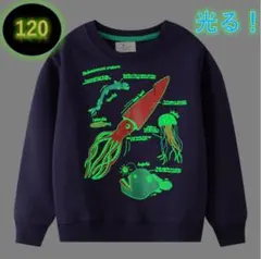 Item thumbnail for item 53a02384-3a9f-4421-a779-bee1e3cc25f6