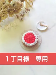 １丁目様　専用　２点まとめ売り　 いちごタルト 　りんごタルト