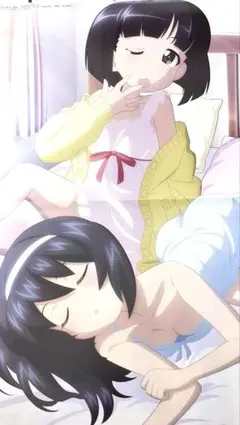 ガールズ＆パンツァー　ゼンレスゾーンゼロ　両面ピンナップポスター　メガミマガジン