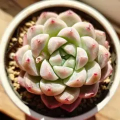 nao様 リクエスト 3点 まとめ商品