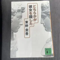 どちらかが彼女を殺した 東野圭吾